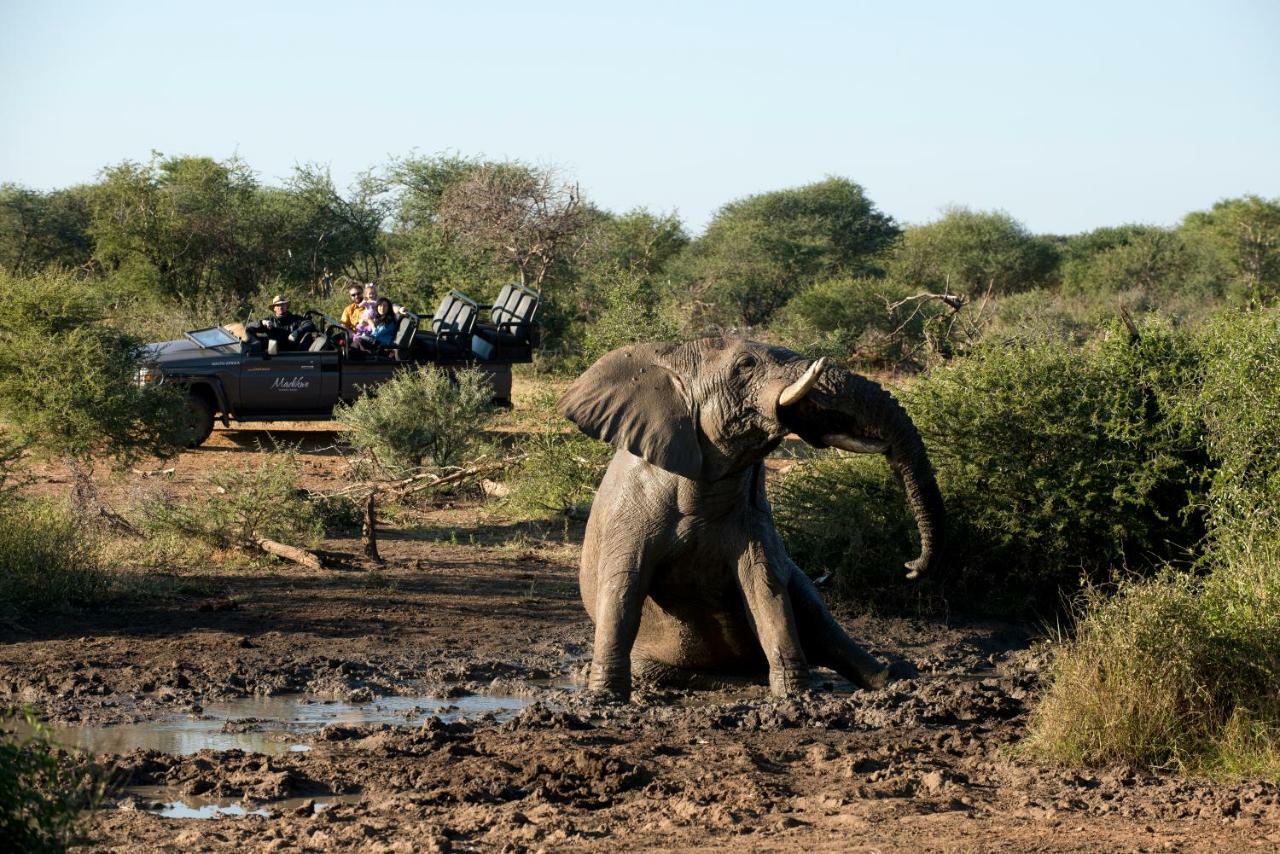 Madikwe Safari Lodge Melorane Buitenkant foto